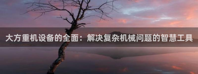 盈顺休闲娱乐室在哪里:大方重机设备的全面:解决复杂机械问题的