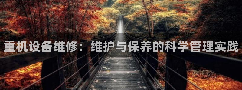 顺盈娱乐网