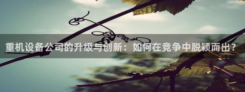 顺盈娱乐代理