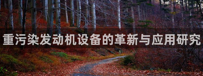 顺盈娱乐找382223:重污染发动机设备的革新与应用研究