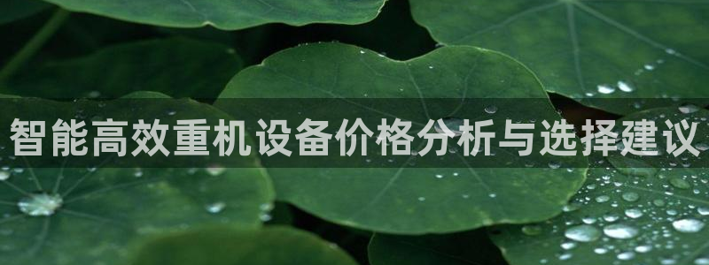 顺盈娱乐在线注册地址:智能高效重机设备价格分析与选择建议