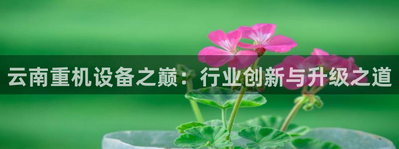 顺盈娱乐招商左原判官333OO