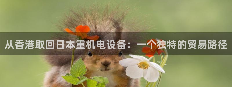 顺盈娱乐主管怎么样