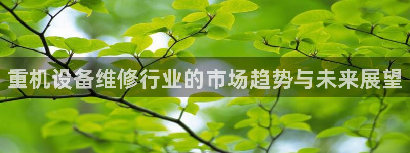 盈顺休闲娱乐室怎么样