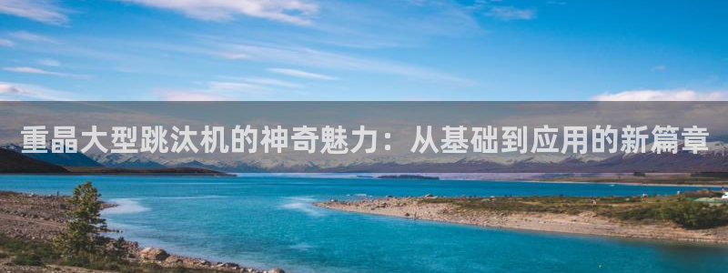 顺盈娱乐主管经判官333OO：重晶大型跳汰机的神奇魅力：从基