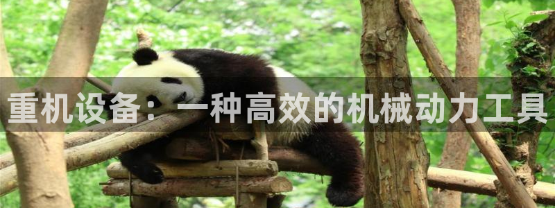 顺盈娱乐招商片判官333OO