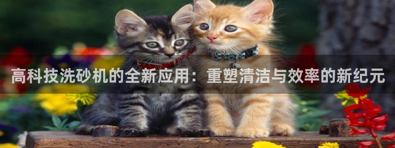 顺盈娱乐最高代理是谁呀