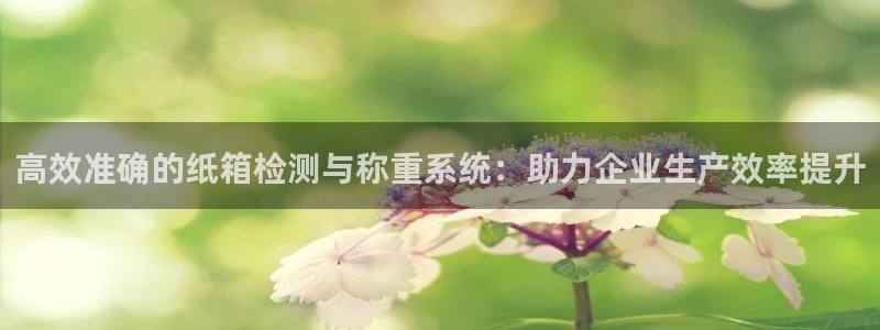 顺盈娱乐猪：高效准确的纸箱检测与称重系统：助力企业生产效率提