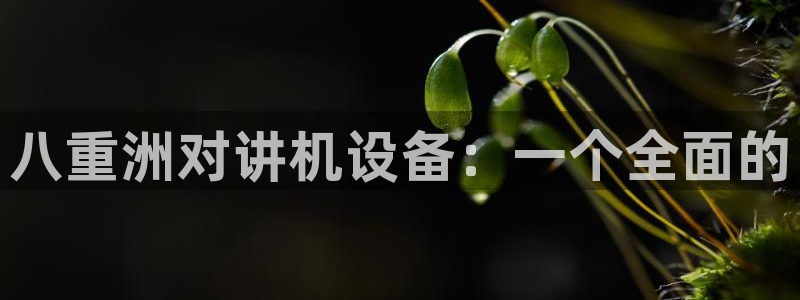 顺盈娱乐最高代理人：八重洲对讲机设备：一个全面的