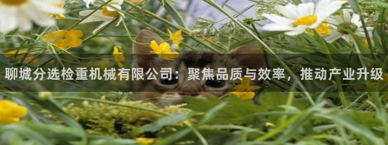 顺盈娱乐公司介绍：聊城分选检重机械有限公司：聚焦品质与效率，